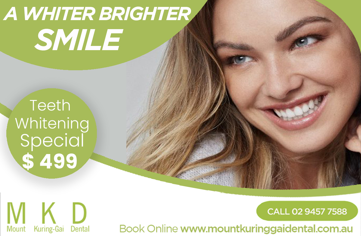 Our Latest Newsletter – 7th November